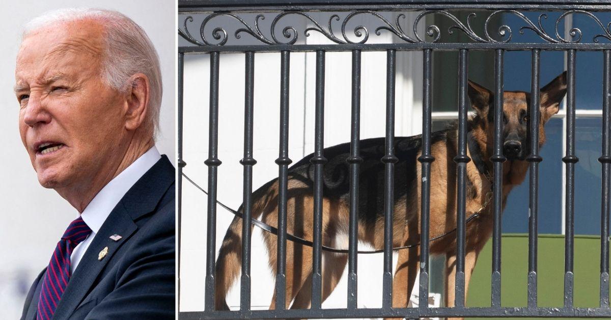 Biden watched his dog attack Secret Service agents