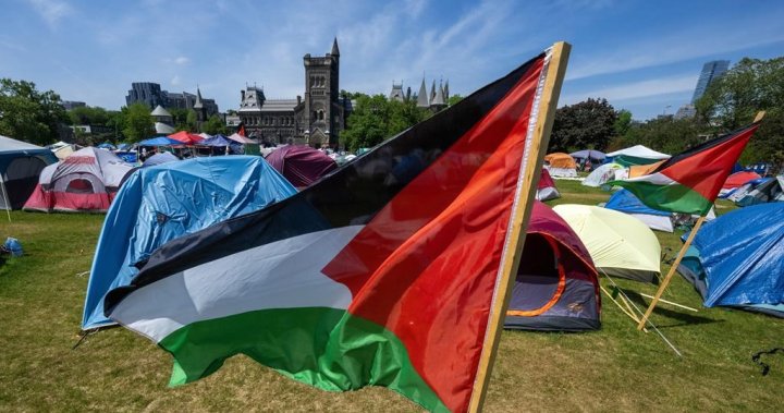 Protesters defend University of Toronto encampment in Ontario court