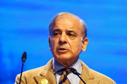 $5 billion investment promised for oil and gas exploration in Pakistan: Shehbaz Sharif