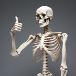 A breakthrough in the treatment of osteoporosis