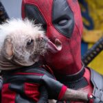 'Deadpool & Wolverine' rakes in $438 million worldwide in its first weekend