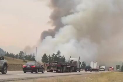 Jasper National Park under evacuation order due to wildfires