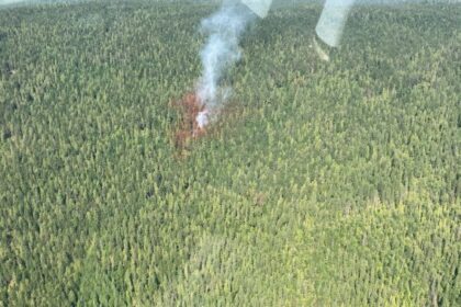 Lower Blueberry Creek fire in Shuswap is considered contained: BC Wildfire – Okanagan