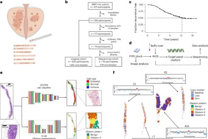 New tool combines evolution and AI to predict prostate cancer recurrence more than a decade in advance