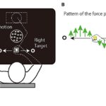 Research shows that the brain stores motor memories differently based on decision uncertainty