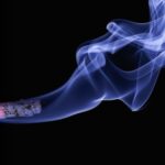 Smoking is an important lifestyle factor associated with cognitive decline in older adults