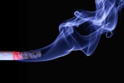 Smoking is an important lifestyle factor associated with cognitive decline in older adults
