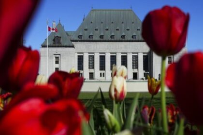 Supreme Court of Canada will rule in Robinson Treaty case