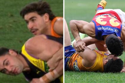 Tribunal results, Charlie Cameron dangerous tackle ban, Toby Bedford dangerous tackle ban, Alex Davies rough conduct ban, video, results, suspension