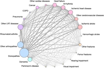 Unraveling disease patterns among older adults entering long-term care in Japan and their future health outcomes