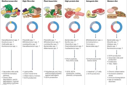 Western diets pose a greater risk of cancer and inflammatory bowel disease, research shows