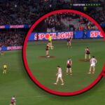 Zach Merrett tense exchange with Andy McGrath, video, Garry Lyon says Essendon Bombers in it for the glory, not the glory, fight, On the Couch, reaction reaction, breaking news