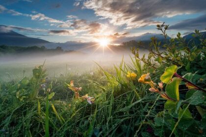 An image of a sunrise in nature.