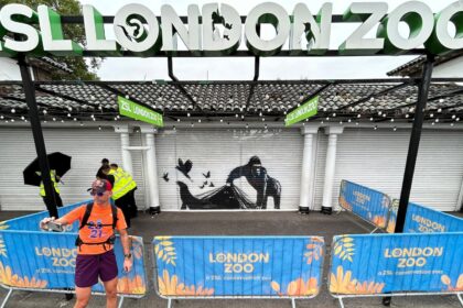 'Banksy woz ere.' London Zoo has become the latest to remove street artists' animal murals for protection