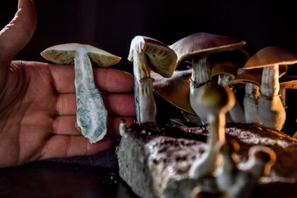 Can magic mushrooms help treat depression? Research points to psilocybin as a potential antidepressant.