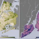 Large daily temperature fluctuations can harm human health