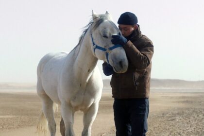 Pluto movie signs 'To kill a Mongolian horse' before Venice