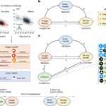 Revealed pathways linking body and brain health and the implications for mental health