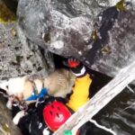 Squamish Search and Rescue requests helicopter to save dog, but was told 'no' at first