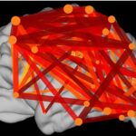 State-of-the-art brain recordings show how neurons resonate