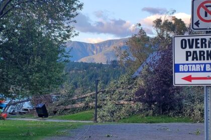 Strong storm topples trees and knocks out power in Invermere district