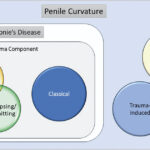 The 'PTNM' system provides a new classification for Peyronie's disease and penile curvature