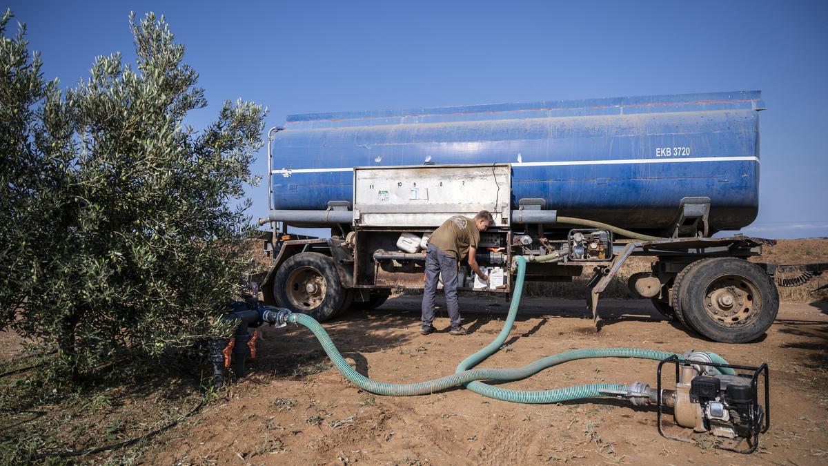 Water trucks keep olive trees alive in drought-stricken Greece