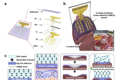 An adhesive cortical device enables artifact-free neuromodulation for the treatment of closed-loop epilepsy