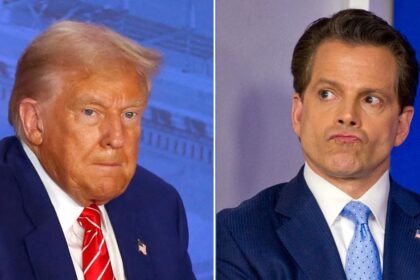 Anthony Scaramucci calls out Trump for wearing 'heels' and a 'belt'