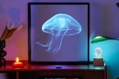 Can you now have a hologram in your living room?