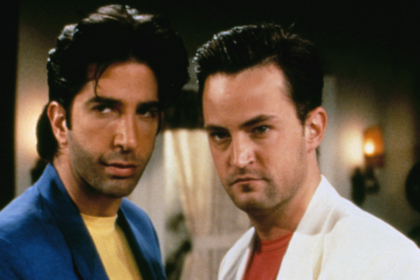 David Schwimmer surprised Matthew Perry praised his 'Friends' acting