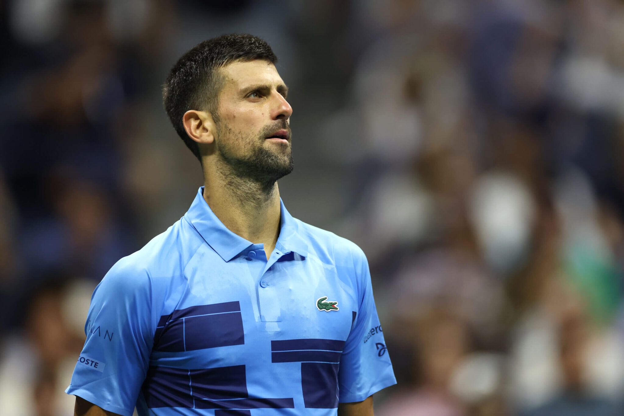 Is Novak Djokovic's first tennis season in seven years without a Grand Slam title a sign?