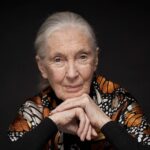 Jane Goodall on her hopes for 'Howl' and the power of film