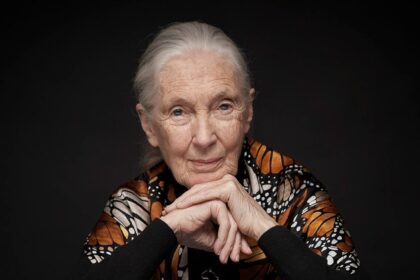 Jane Goodall on her hopes for 'Howl' and the power of film