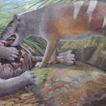 New bone-crushing Tasmanian tiger species unearthed by paleontologists