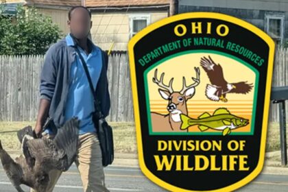 Ohio wildlife officials provide context for photo of man holding two geese