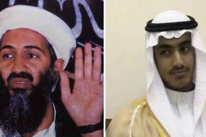 Osama bin Laden's 'dead' son is alive and well