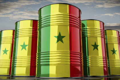 Senegal: Natural resources audit makes foreign operators nervous