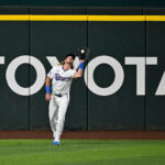 MLB: Minnesota Twins at Texas Rangers - Source: Imagn