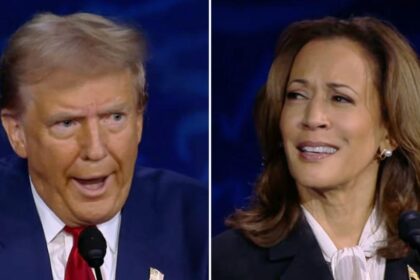 Trump steps aside Harris 'turns black' Comment: 'I don't care'